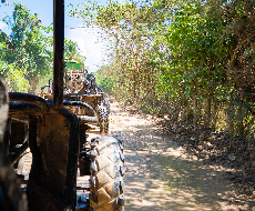 Buggies de Aventura (Individual)