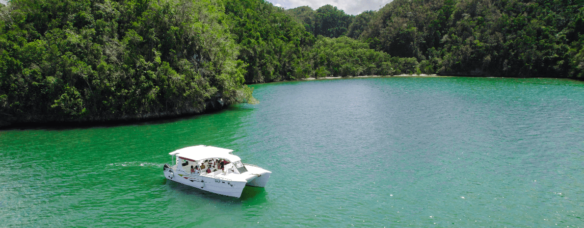 Tour completo guiado em Samaná