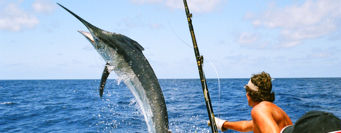 Pesca em Alto Mar Regular