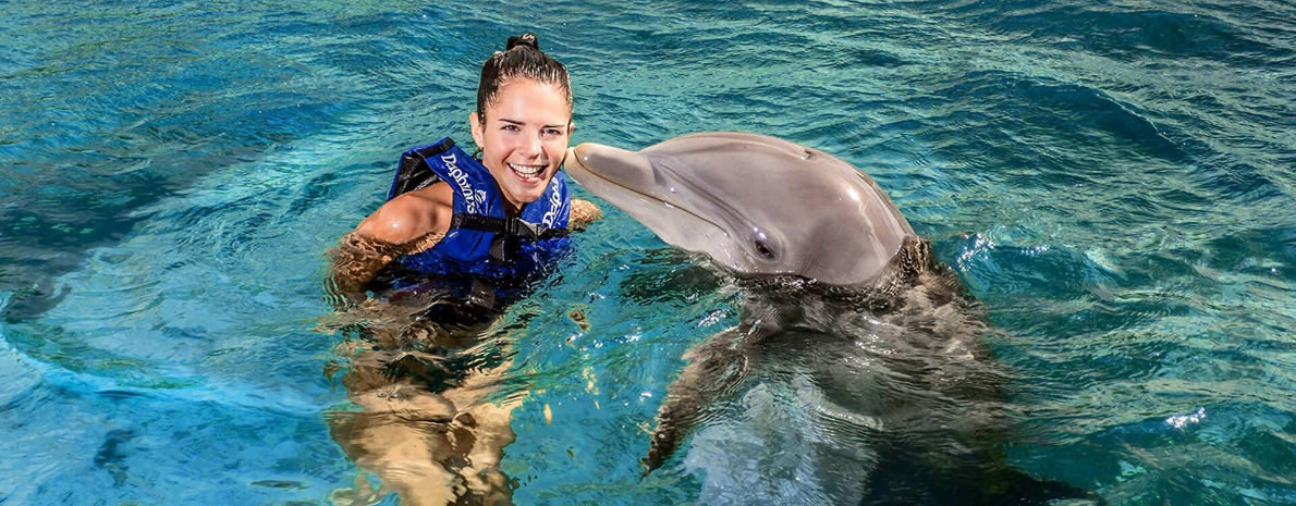 Dolphin Discovery Encontro