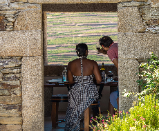 Desde o Porto: Passeio pelas Vinícolas do Vale do Douro - 2 vinícolas, cruzeiro & almoço