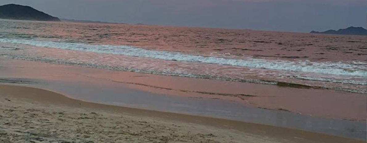 Transfer de Chegada e Saída - Aeroporto de Florianópolis para hotéis na Praia do Norte da Ilha