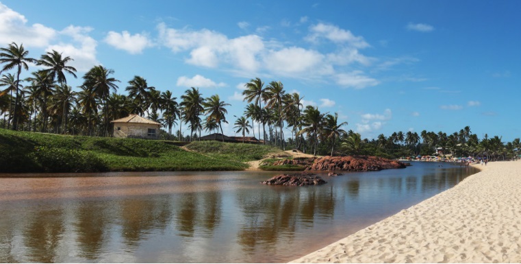 Transfer de chegada e saída para Hotéis Litoral Norte (Praia do Forte, Imbassai, Guarajuba, Mata de São João/Costa do Sauípe)