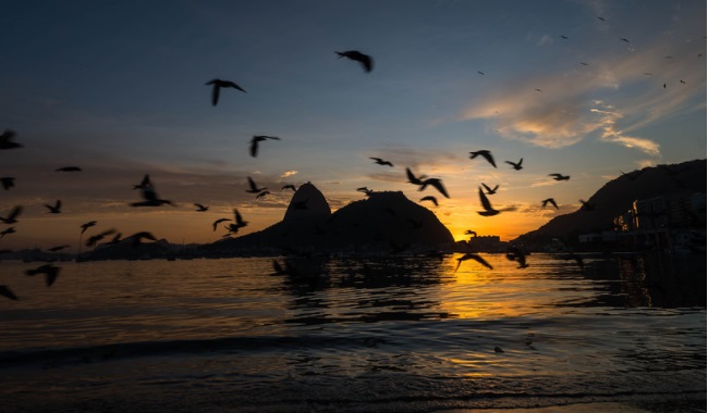 Transfer de Chegada e Saída do Aeroporto Internacional do Galeão para Hotéis na Barra da Tijuca (Zona Oeste)