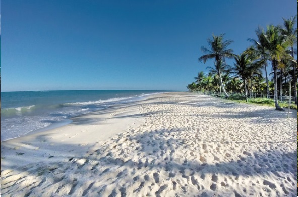 Transfer de Chegada ou Saída para Hotéis em Cabrália (não atende hotéis Vila Angatu e Campo Bahia)