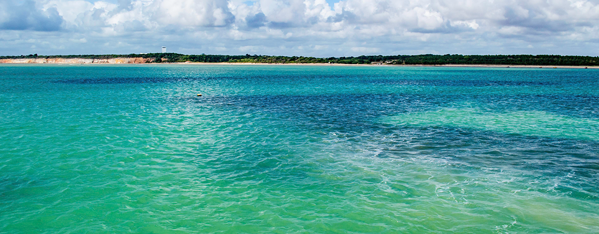 Transfer de Chegada e Saída - Aeroporto de João Pessoa para Hotéis em João Pessoa + City tour + Passeio as Piscinas Naturais (2 dias)