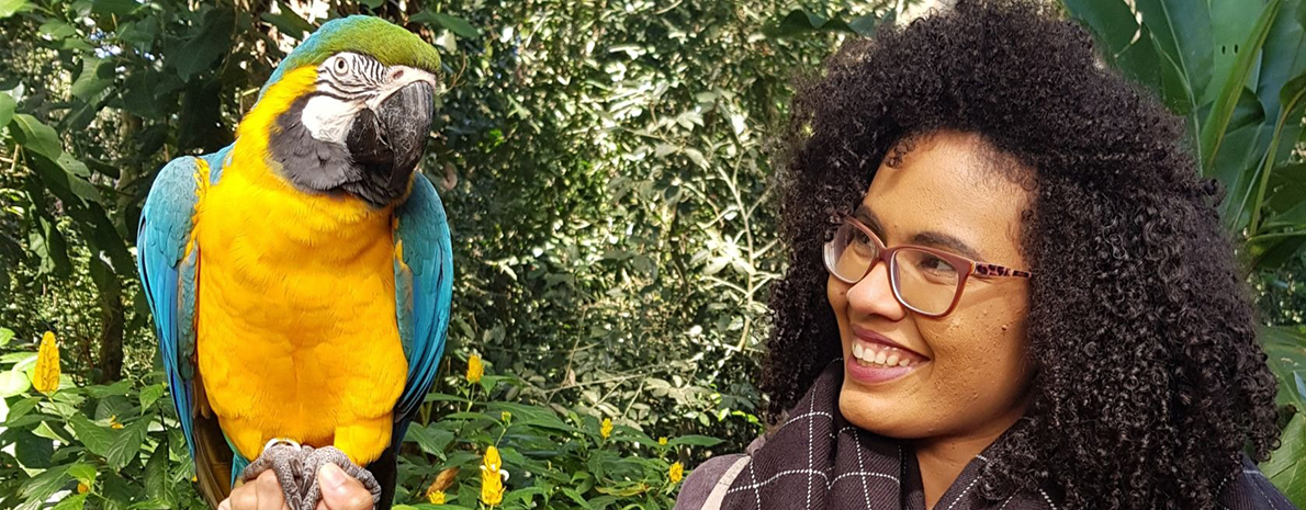 Transfer de Chegada e Saída (Aeroporto para hotéis em Foz do Iguaçu) + Cataratas Brasileiras + Parque das Aves + Visita Panorâmica de Itaipu (sem ingressos)