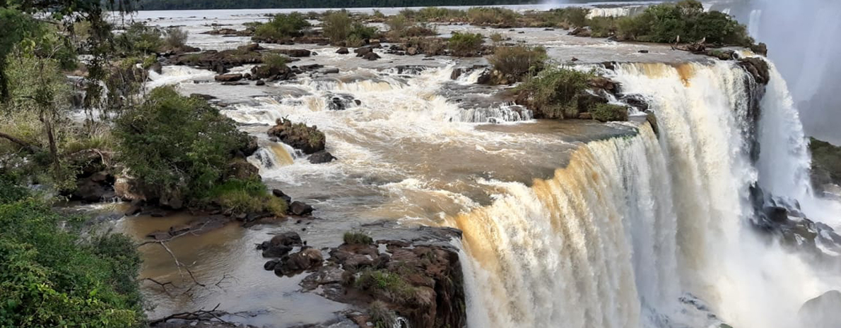 Transfer de Chegada e Saída - Aeroporto para os hotéis em Foz do Iguaçu + Cataratas Brasileiras + Parque das Aves + Cataratas Argentinas (sem ingressos)