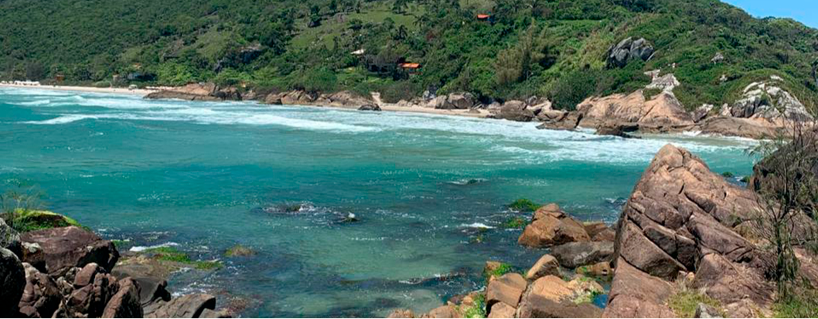 Transfer de Chegada OU Saída - Aeroporto de Florianópolis para hotéis na Praia do Norte da Ilha
