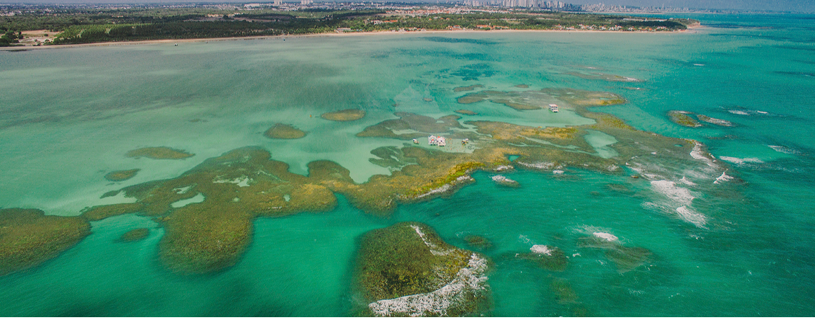 Transfer de Chegada e Saída - Aeroporto de João Pessoa para Hotéis em João Pessoa + Passeio as Piscinas Naturais