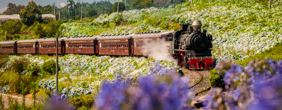 Transfer de Chegada e Saída - Aeroporto de Porto Alegre para Gramado ou Canela + 1 Ticket Bustour + Tour Origens Alemãs + Trem Maria Fumaça