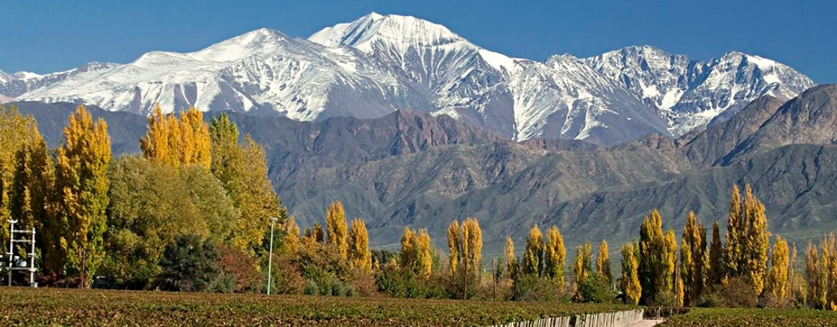 Transfer ida e volta Privativo -  Aeroporto Internacional de Mendoza para Vale do Uco (Auberge du Vin, Salentein, La Azul, Casa Petrini, The Vines, Hotel de Cielo, Casa de Uco, Alpasión)  - 02 Trecho