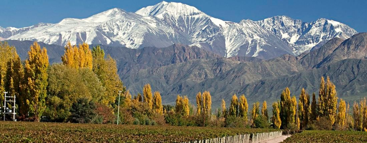 Transfer ida Privativo - Aeroporto Internacional de Mendoza para Vale do Uco (Auberge du Vin, Salentein, La Azul, Casa Petrini, The Vines, Hotel de Cielo, Casa de Uco, Alpasión) - 01 Trecho