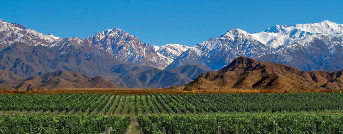 Transfer ida Privativo - Aeroporto Internacional de Mendoza para Rosell Boher Lodge, Cavas Wine Lodge, Casa Agostino, Chozos Resort, Lomas de Malbec - 01 Trecho