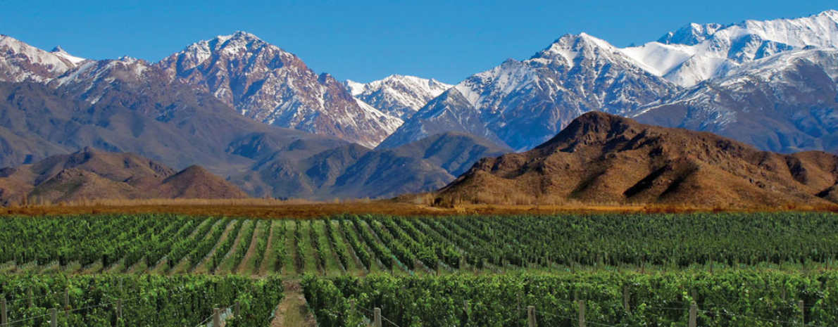 Traslado ida e volta Privativo - Aeroporto até Rosell Boher Lodge, Cavas Wine Lodge, Casa Agostino, Chozos Resort, Lomas de Malbec - 02 Trechos